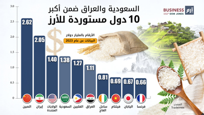 دولتان عربيتان ضمن أكبر 10 دول مستوردة للأرز