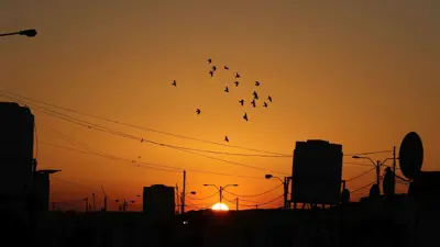 صورة لكابلات وأعمدة الكهرباء عند غروب الشمس في مخيم الزعتري للاجئين، الواقع قرب مدينة المفرق شمالي الأردن بالقرب من الحدود مع سوريا، يوم 14 يوليو 2016