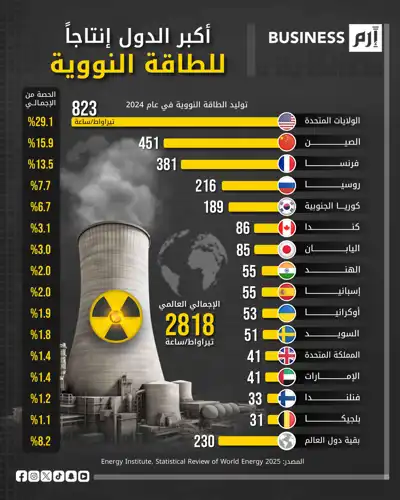 البيانات وفق إحصاءات معهد الطاقة لعام 2025.