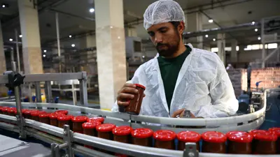 عامل يفحص عبوات معجون الطماطم على خط إنتاج في مصنع بمحافظة الشرقية، مصر، 27 أكتوبر 2024.