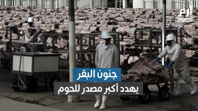 جنون البقر يهدد أكبر مصدر للحوم