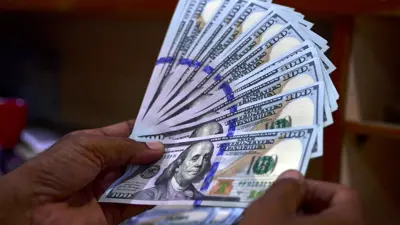 يعد أوراقاً نقدية من الدولار الأميركي بسوق العملات في مدينة كراتشي الباكستانية يوم 19 يوليو 2022.