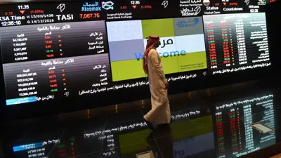 مستثمر يتابع تحركات الأسهم على شاشات السوق المالية السعودية في العاصمة الرياض يوم 14 ديسمبر 2016.