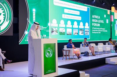 الصندوق السعودي للتنمية: 60% من المشاريع ذهبت لإفريقيا